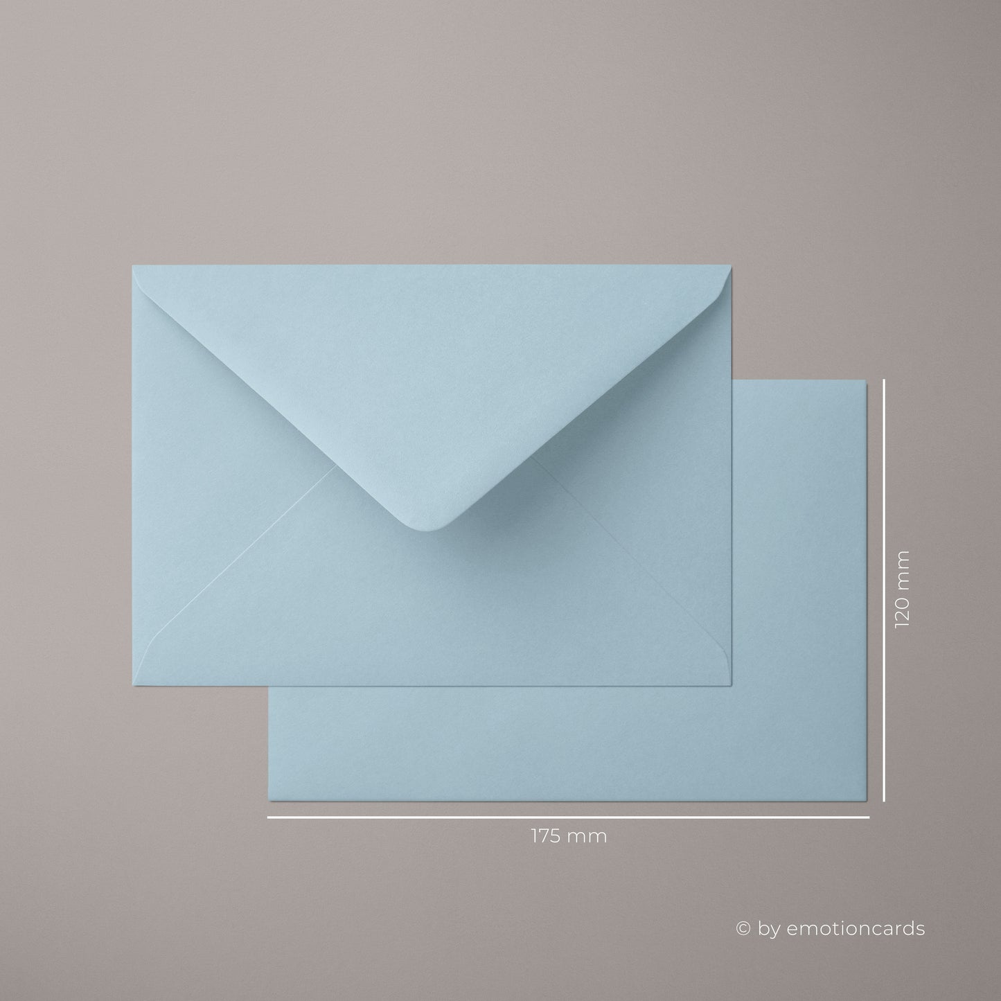 5x/10x Einladungskarten zum Kindergeburtstag | Fuchs auf Steckenpferd | Premium-Karton | Große Karte (115mm x 170mm)