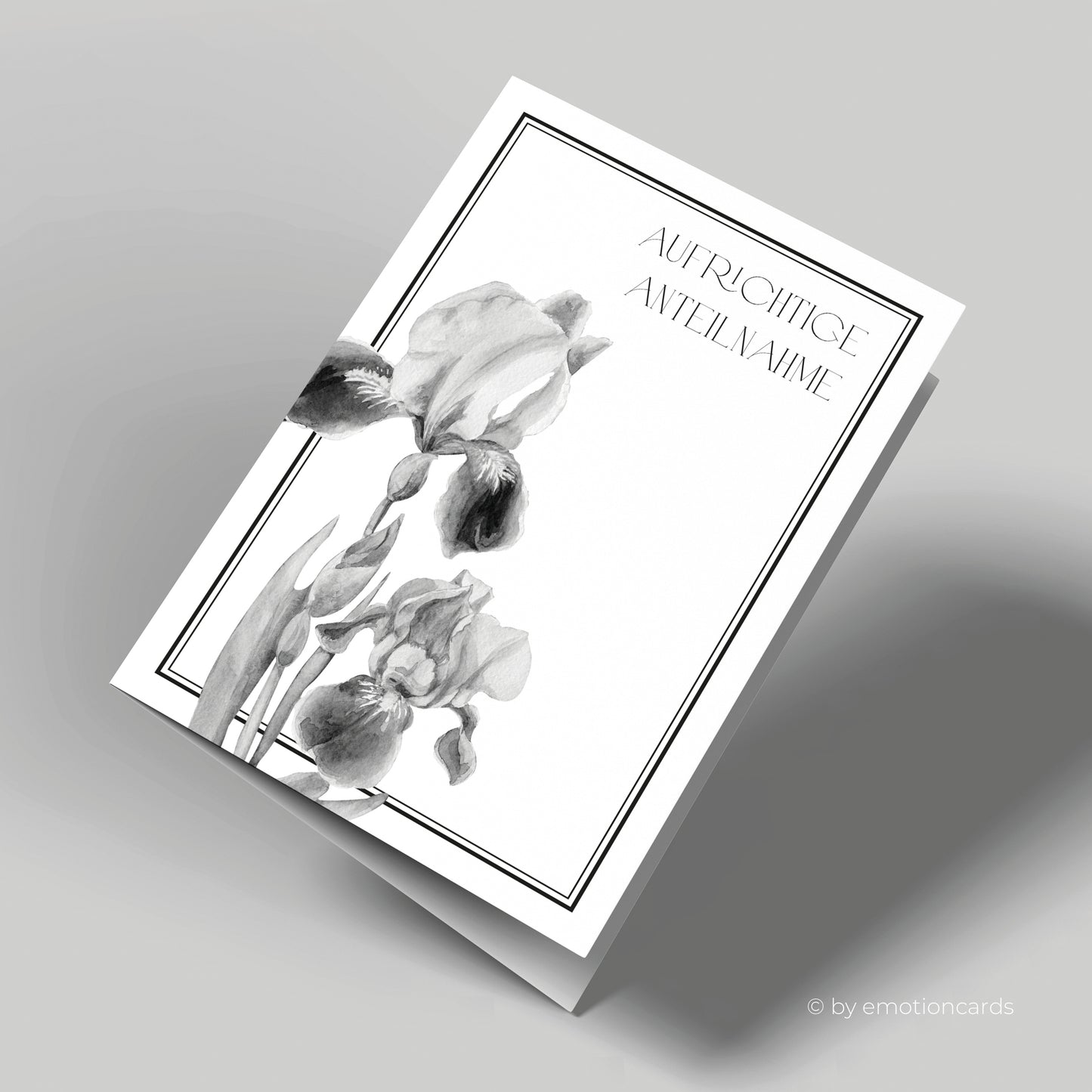 Trauerkarte | Aufrichtige Anteilnahme Schwertlilie