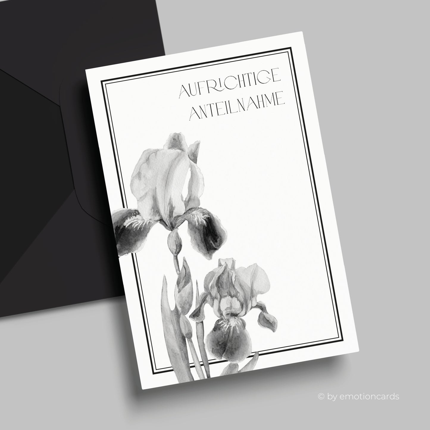 Trauerkarte | Aufrichtige Anteilnahme Schwertlilie