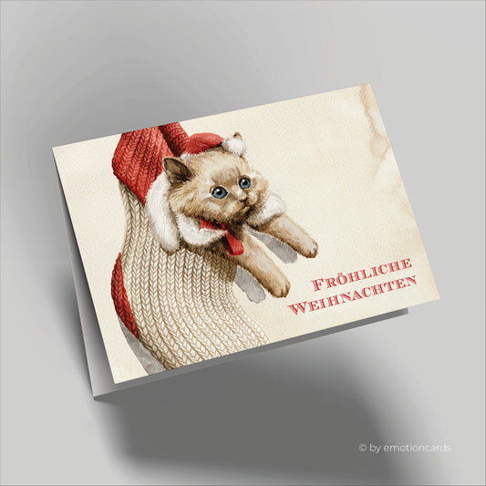 Weihnachtskarte | Katze in Weihnachtsstrumpf CloseUp