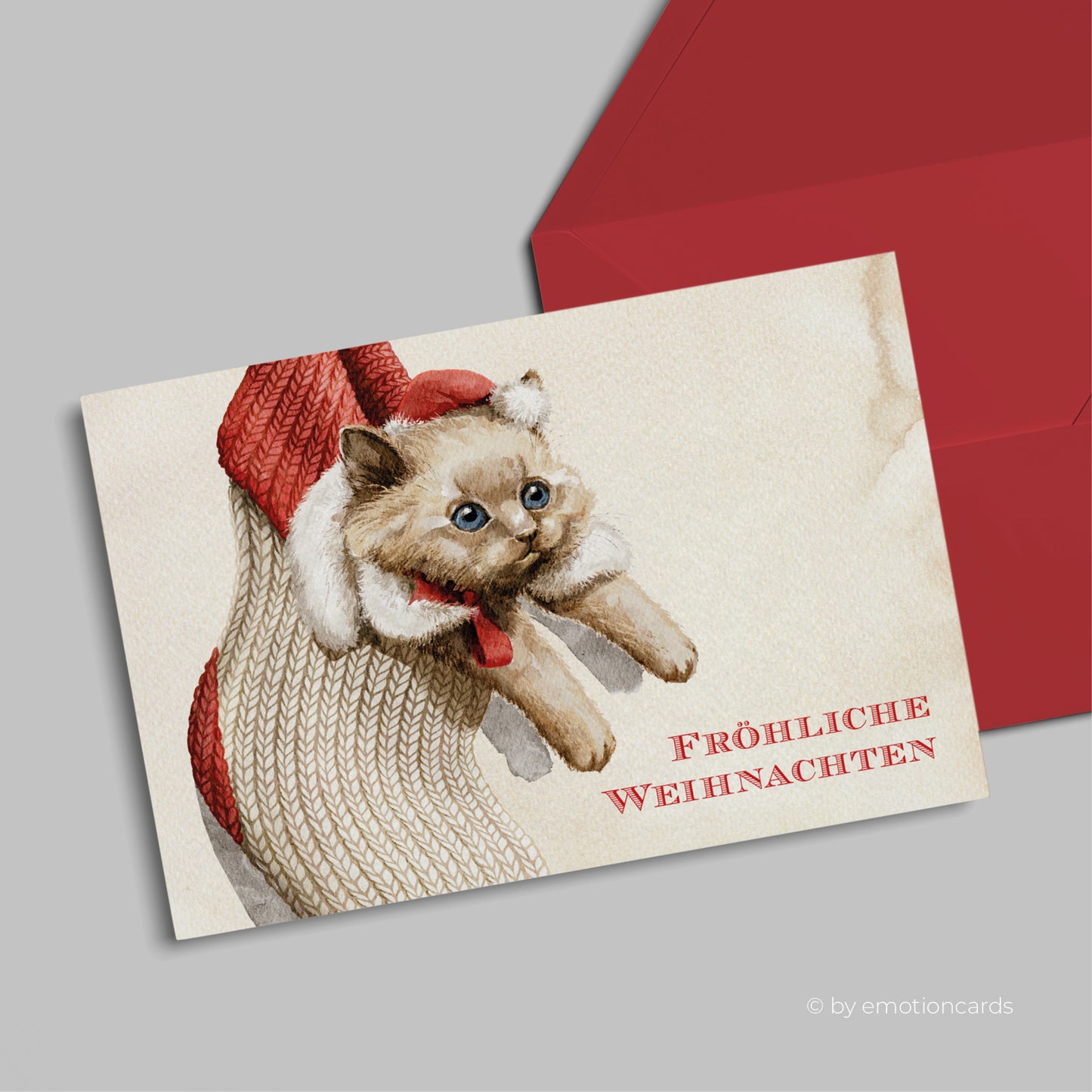 Weihnachtskarte | Katze in Weihnachtsstrumpf CloseUp